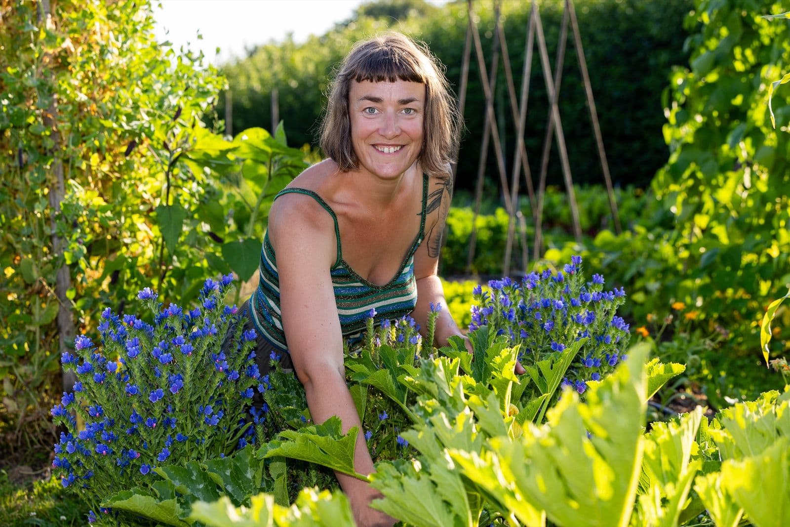 Hella knielt lachend tussen het blauwe slangenkruid en de courgettes, in het tegenlicht van de avondzon