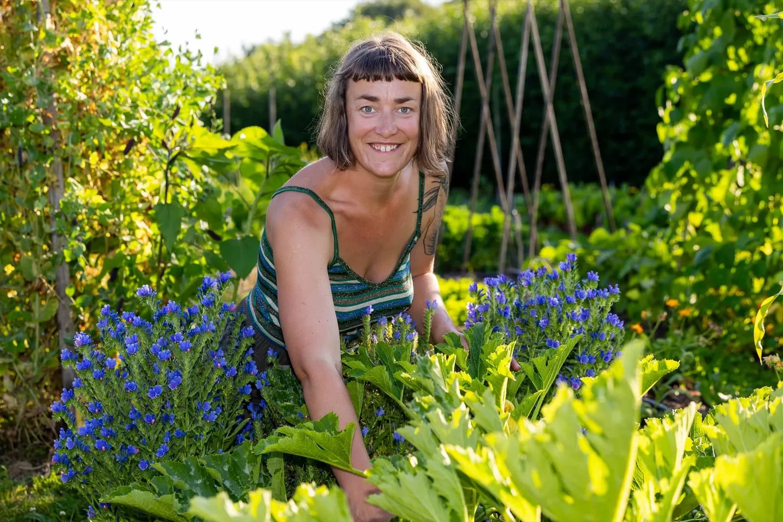 Hella knielt lachend tussen het blauwe slangenkruid en de courgettes, in het tegenlicht van de avondzon