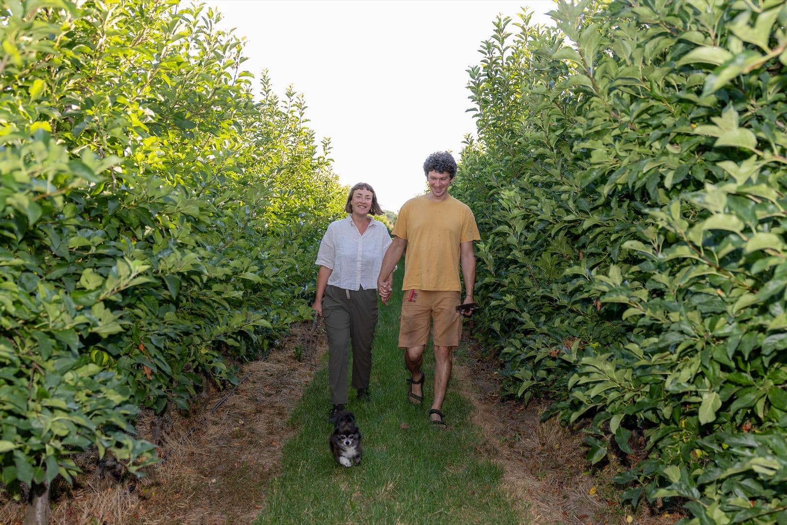 Twee mensen wandelen met een hondje door de laan tussen de fruitbomen