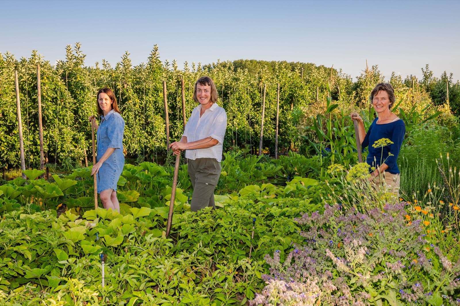 Drie vrouwen met schoffels staan lachend tussen de moestuinbedden, met de boomgaard op de achtergrond